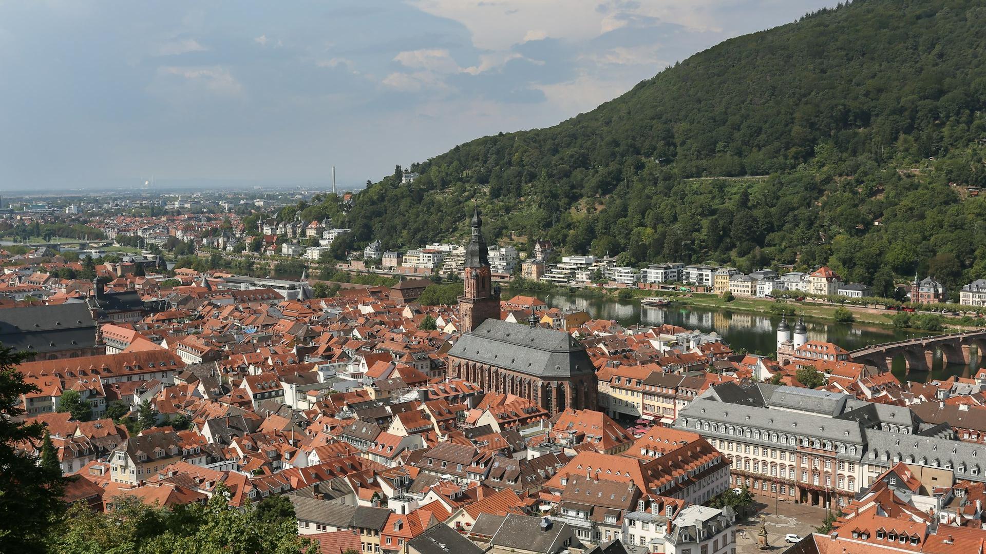 a view of a city with a mountain in the background