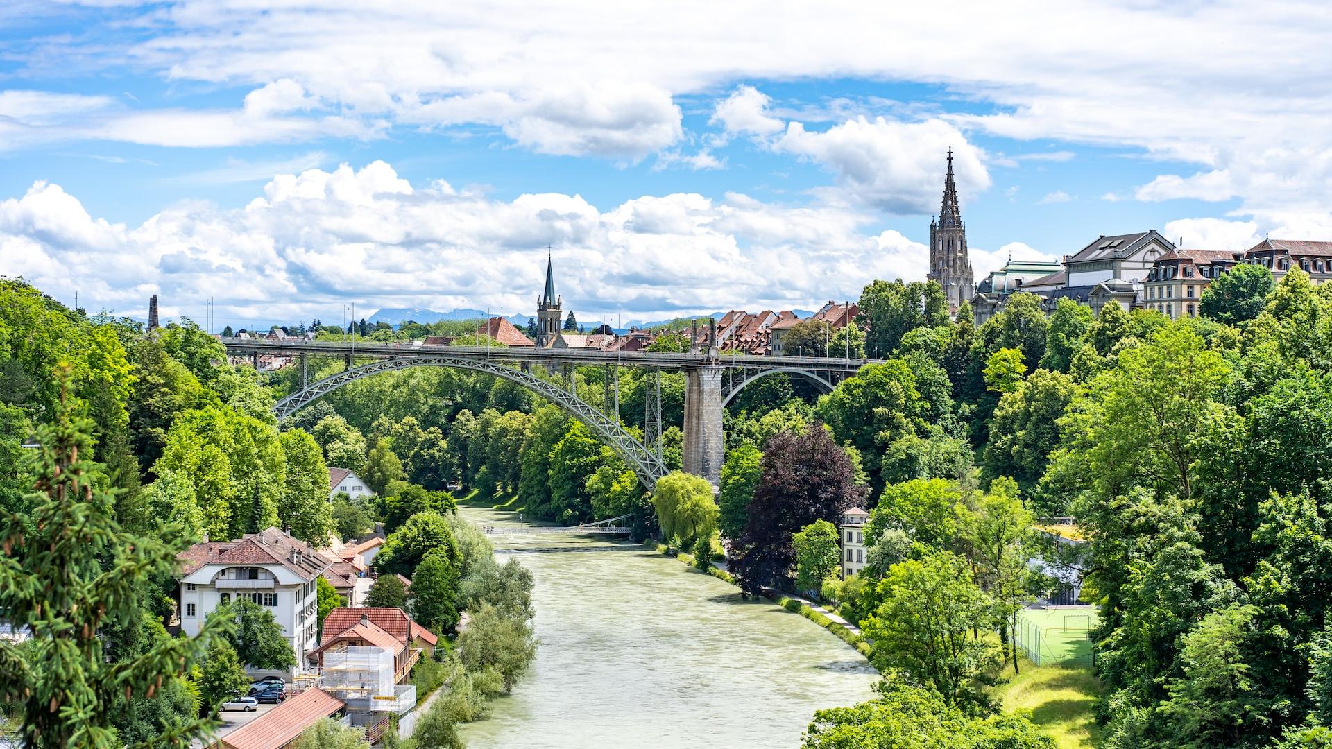 green trees near river under blue sky during daytime