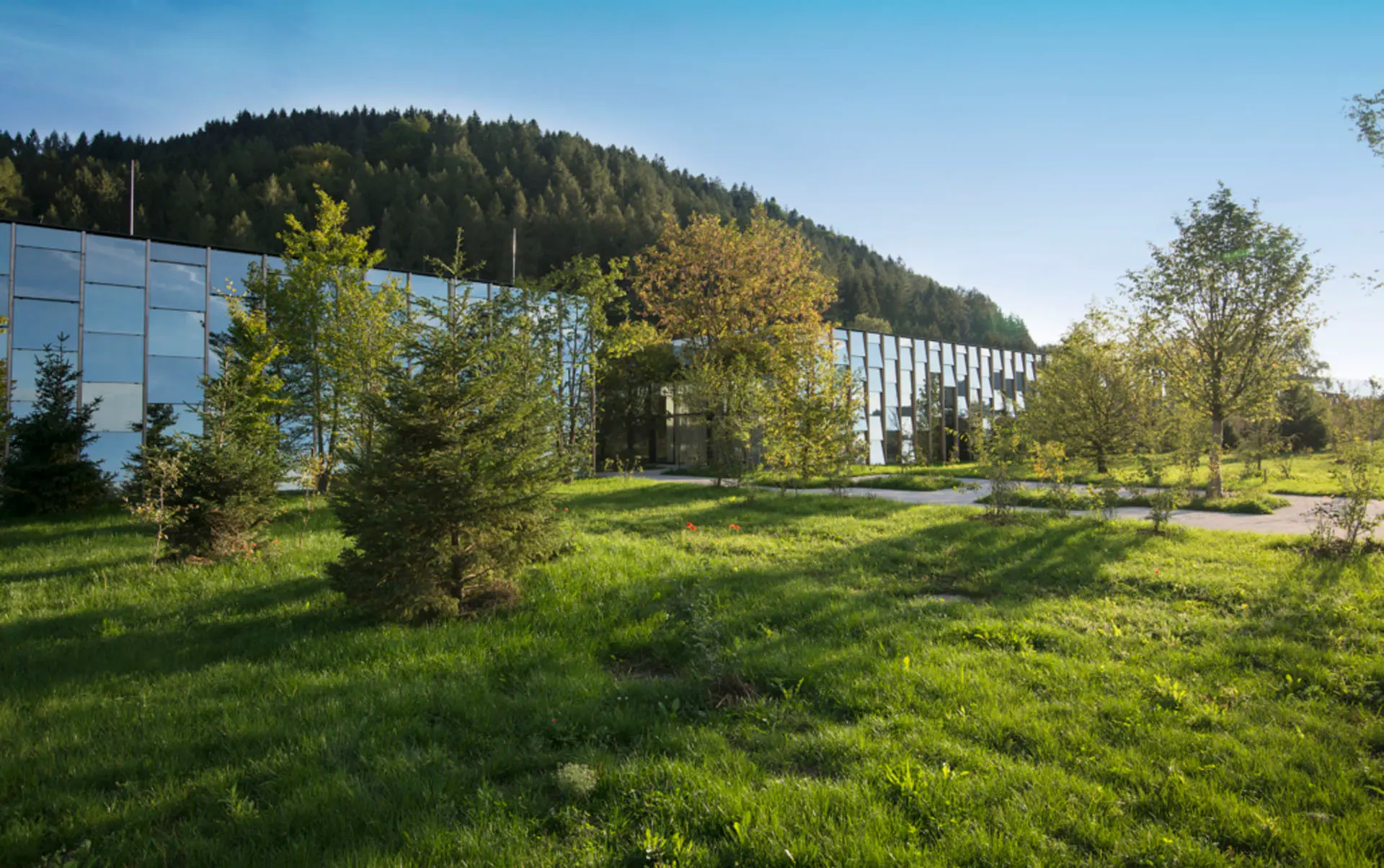 Digital Transformation at Gruene Erde with braintec and Odoo | braintec AG